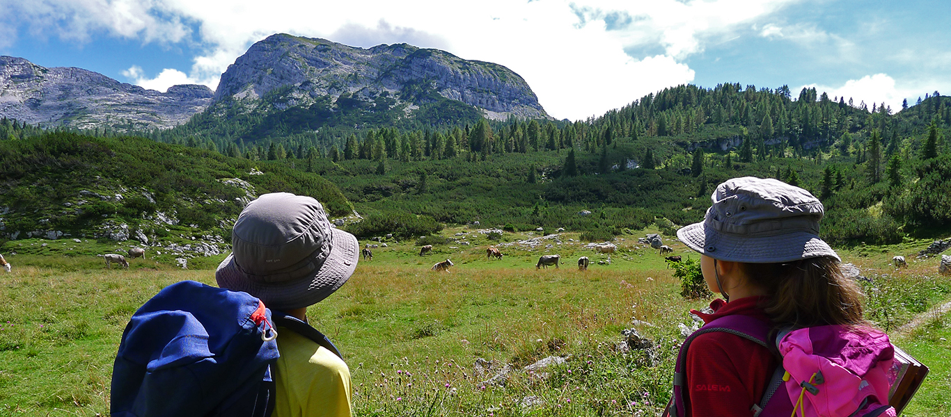 Piani Eterni - Parco Nazionale Dolomiti Bellunesi (BL)