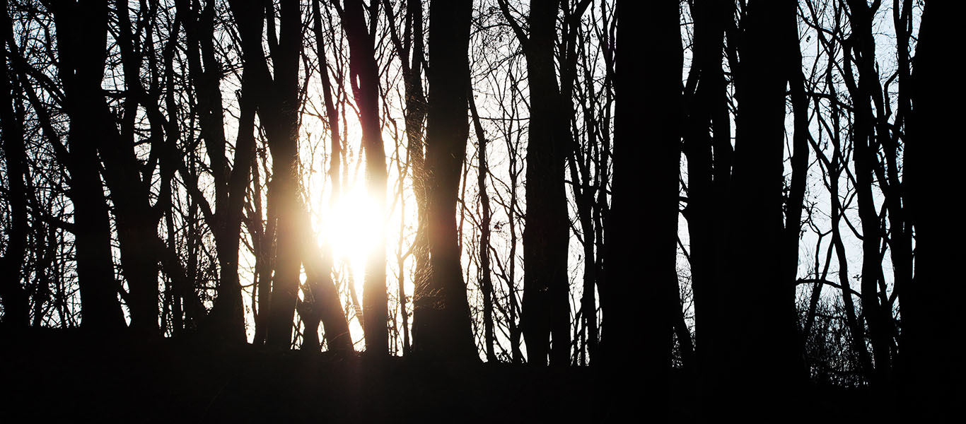 Santa Lucia trek on Montello – Halloween and Celtic New Year
